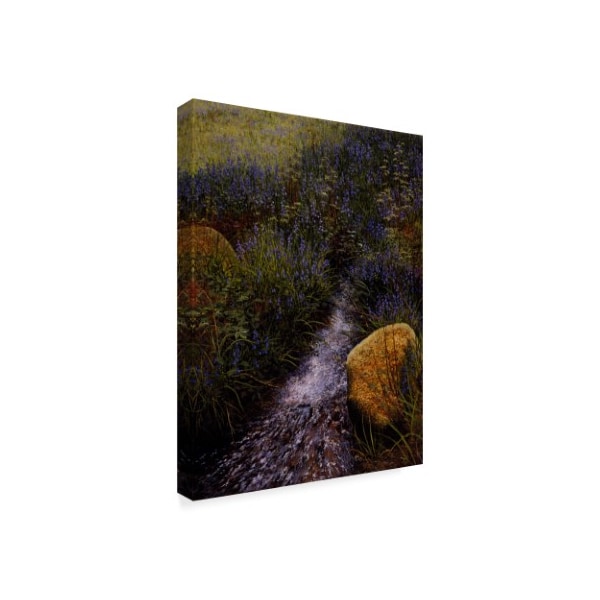 Bill Makinson 'Sparkling Water' Canvas Art,35x47